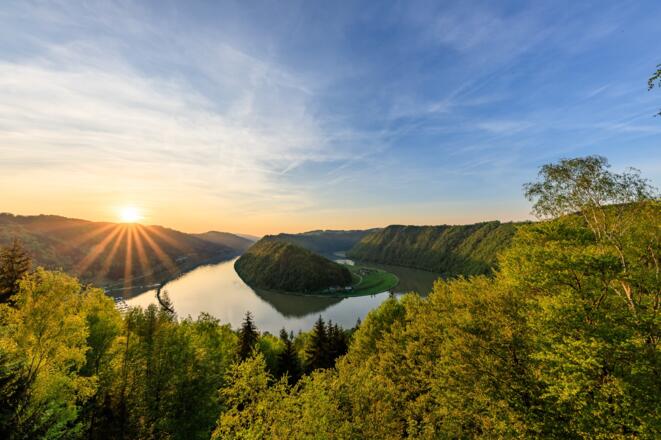 Schlögener Donaublick bei Sonnenuntergang