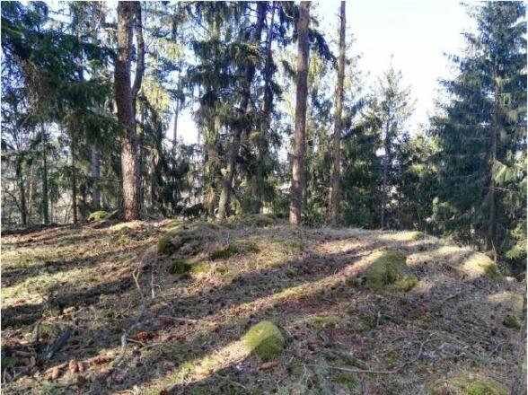 Neumarkt_Himmelsstiege