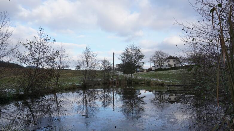 vorbei an einem Teich