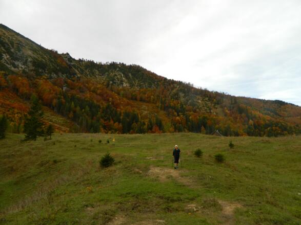 Wiesen der Menauer 'Alm