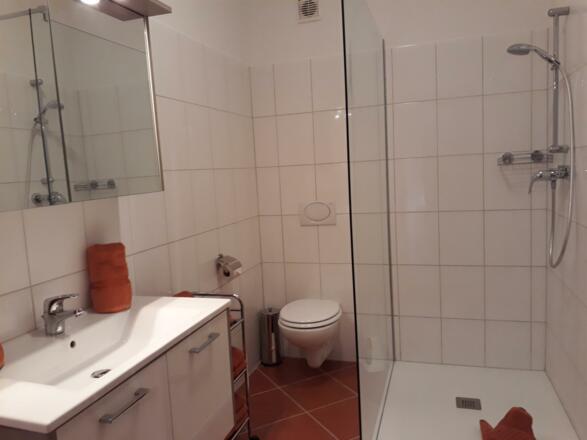 Walk in Dusche - Spitzplaneck