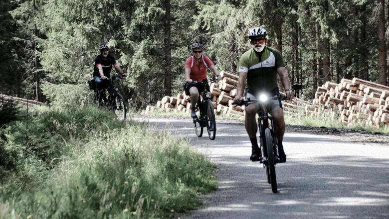 INNs HOLZ Chaletdorf mit INNs HOLZ See im Sommer