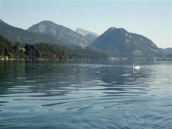 Der Fuschlsee