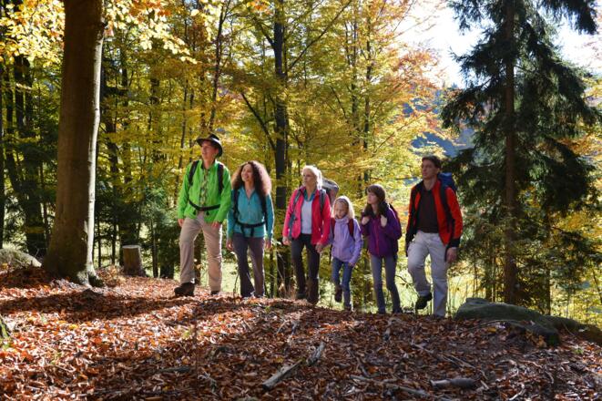 Wandern am Fitnessweg Predigtberg