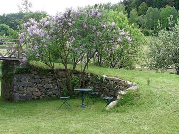Garten mit Blumenwiese