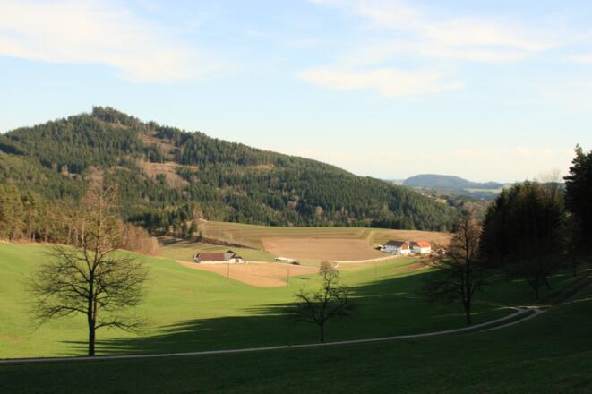 Steinbloss-Mauer-Weg