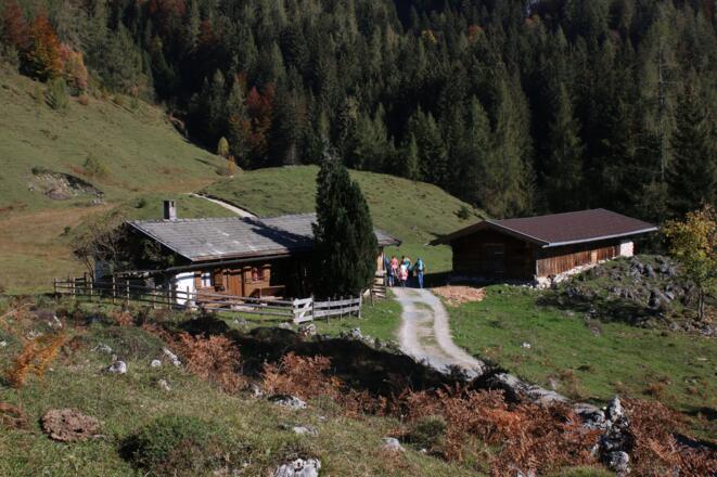 Ast zu Moosenhütte