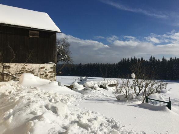 Landschaft im Winter 5