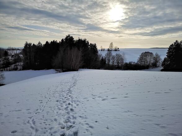 Blick zurück auf's Blumental