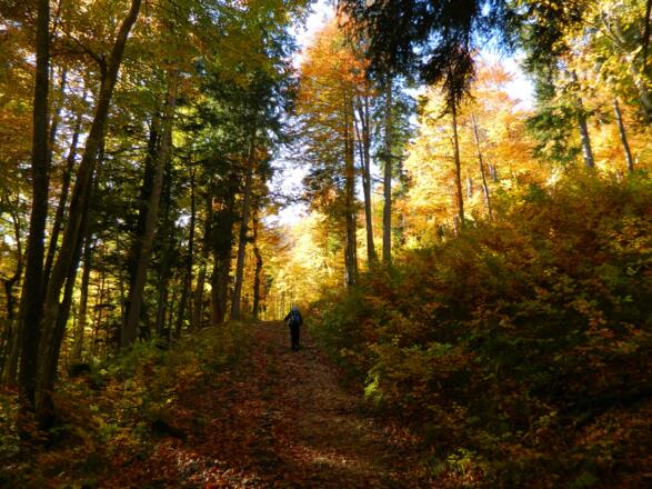 Weg zum Sandgartl