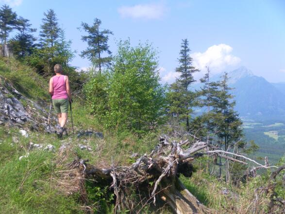 Hochstaufen