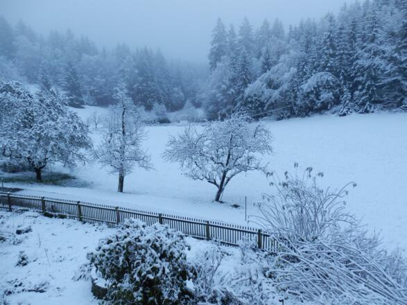 Gartenblick im Winter