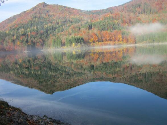 Herbst - Wiestalsee