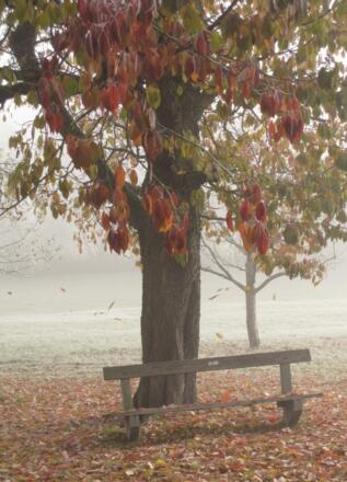 Steinbloss-Mauer-Weg