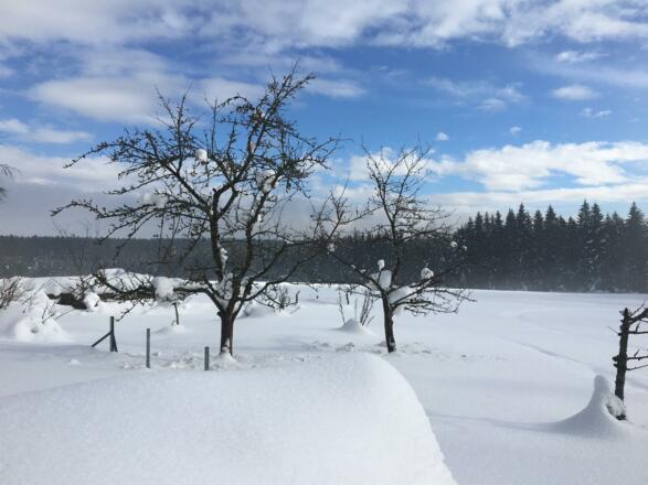 Landschaft im Winter 4