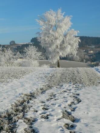 Winterwandern