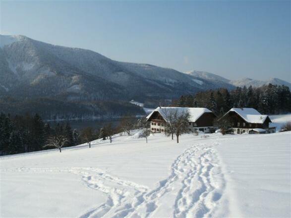 Spuren im Schnee...