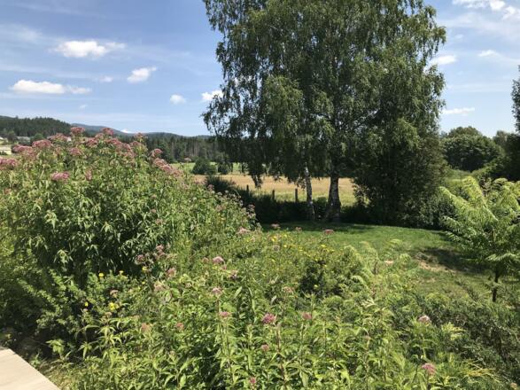 Naturschutzgebiet Stadlau von Terrasse im Sommer