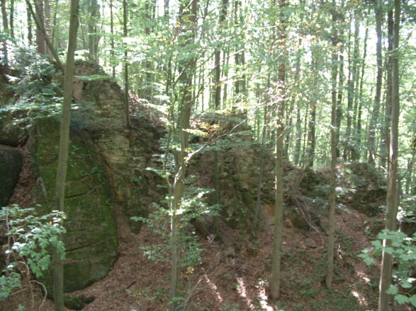 Restmauer Ruine Saxenegg