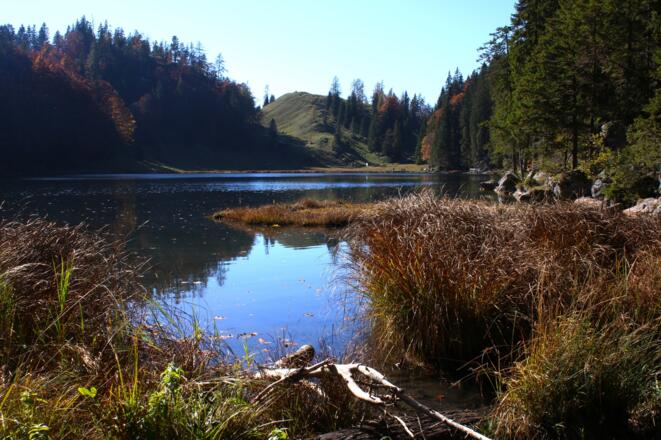 Taubensee