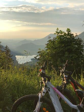 haus_hirschpoint_faistenau_21ri8