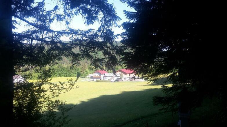 Blick vom Waldrand
