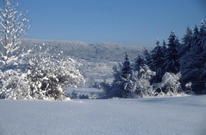 Winter in Ulrichsberg