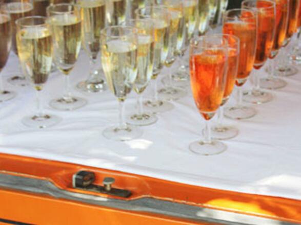 Happy Hauer's Barbus 2