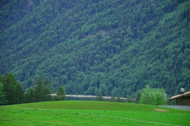 Blick zum Hintersee