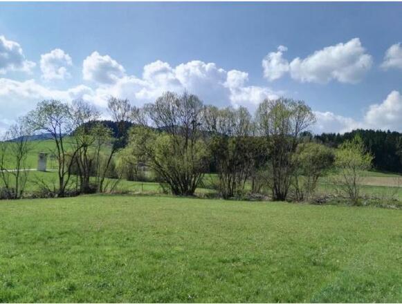 Neumarkt_Mündung Tröbingerbach