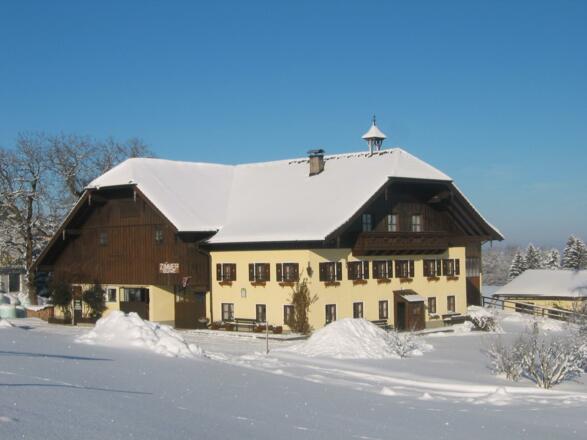 Blütenpracht vom Bauernhof Hinterreith