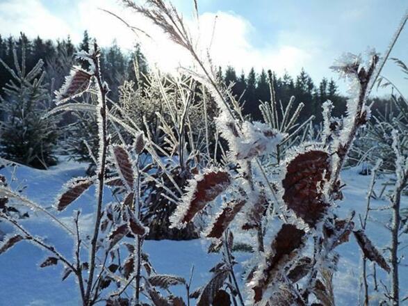 Winterimpressionen