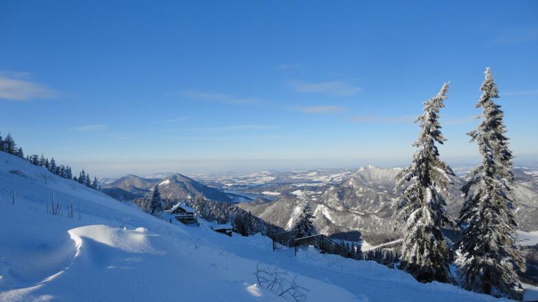 Winter am Zwölferhorn