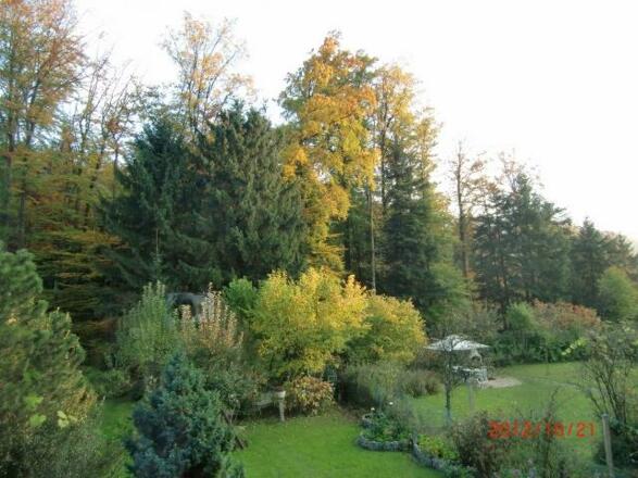 Garten im Herbst