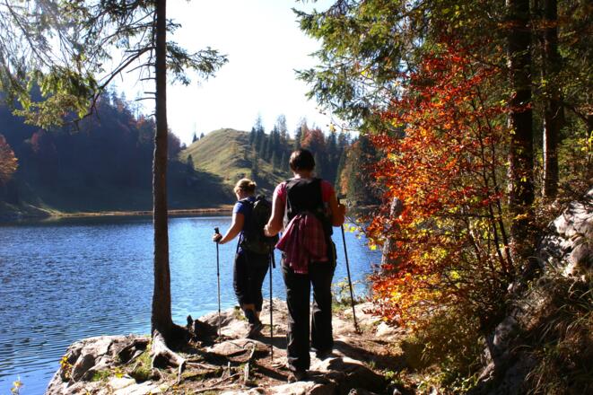 Wanderweg am Taubensee Nordufer