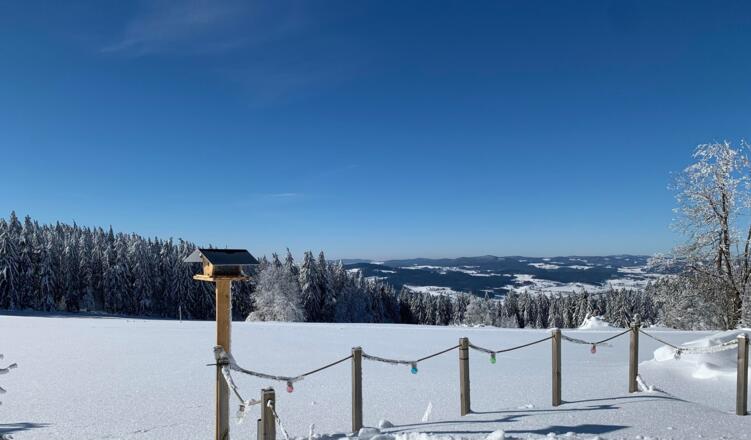 Winterlandschaft