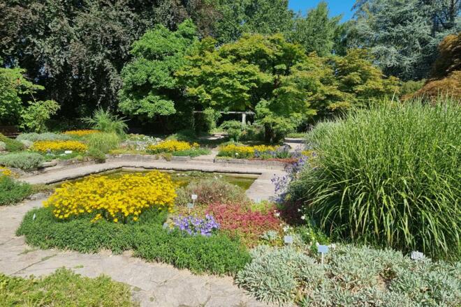 Botanischer-Garten-Linz_c_LinzTourismus-EM