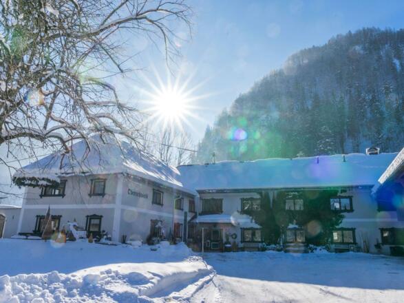 Landgut Oberschwiebl  - Waldness Winterwald