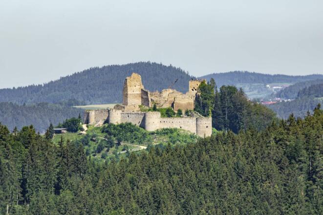 Ruine Ruttenstein in Pierbach
