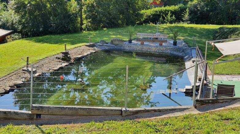 Schwimmteich