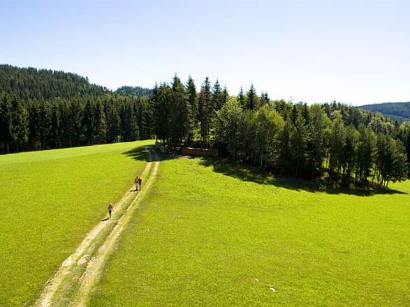 S3 Stifter Panoramaweg