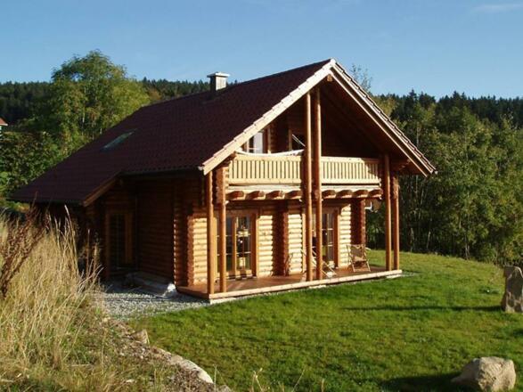 Sonnengütl im Sommer