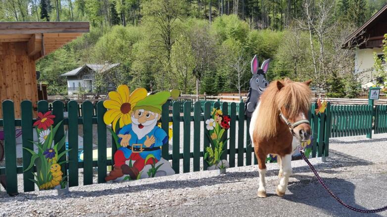 Ponyhof gleich nebenan
