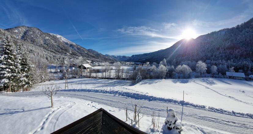 Blick auf den Biobauernhof Seemanngut