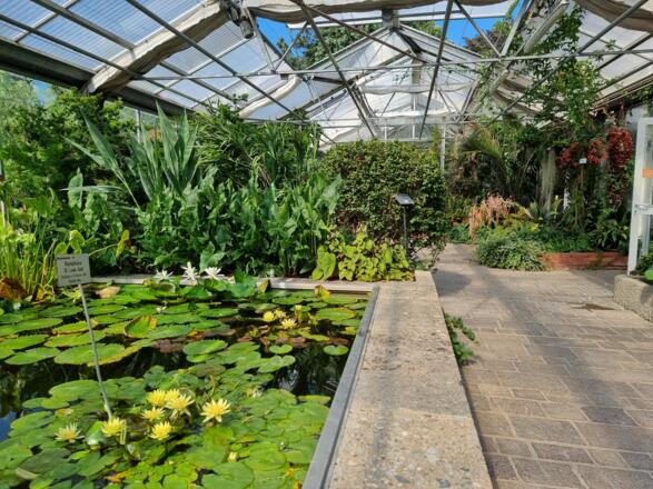 Botanischer Garten EM (1)