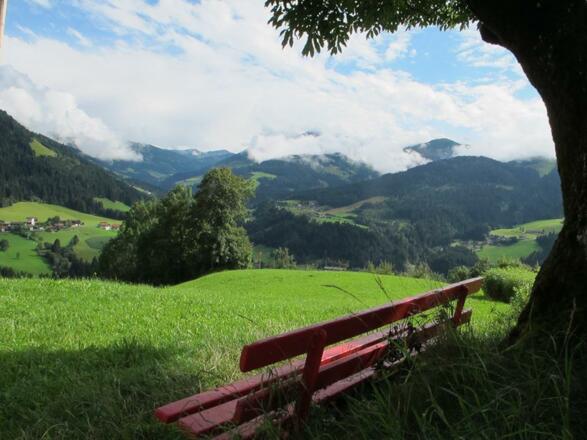 Ausblick im Sommer Böhmerwald
