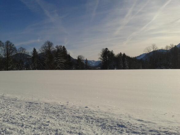 Blick von der Ferienwohnung