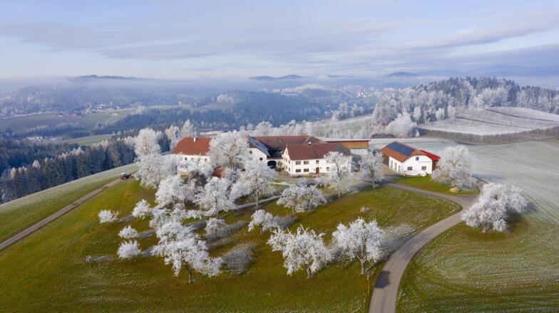 Hof im Herbst