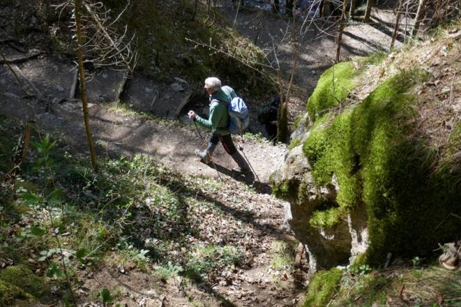 Abstieg auf einem Treppensteig zum Wasserfall der Kaltwasserlaine