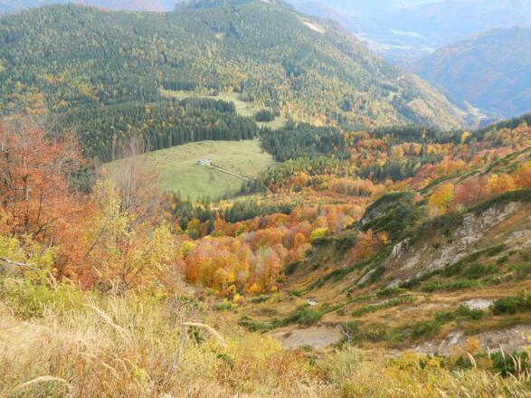 Tiefblick zur Menauer Alm